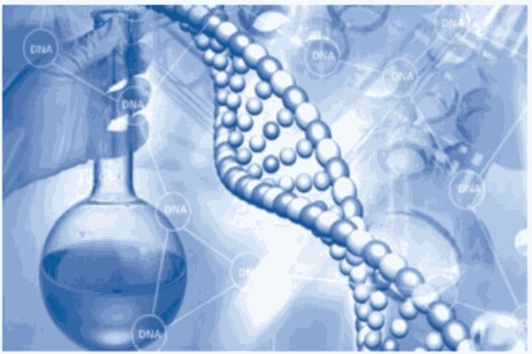 首度基因基因检测